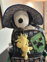 IMG_6387.jpeg