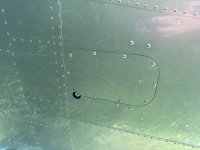 IMG_3933.jpeg