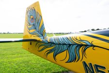DSC03898 - Copy.jpg