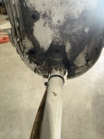IMG_8419.jpeg