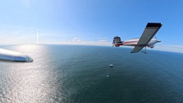 Whalewatching_02.jpg