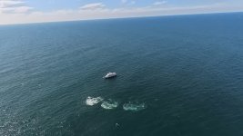 Whalewatching_01.jpg