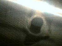 IMG_9717.jpeg