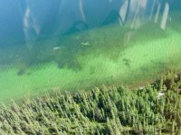 sunken airplane  - 1.jpeg
