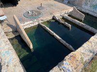 Juniper Hot Springs - 1 (2).jpeg