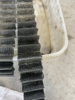 IMG_1275.jpeg
