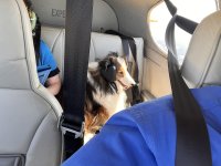 IMG_4544.jpeg