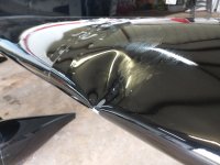 birdstrike.jpg