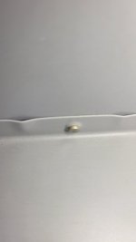 20250921_211224.jpeg