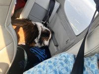 IMG_4574.jpeg