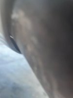 IMG_4966.jpeg