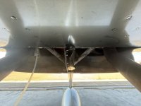 IMG_3685.jpeg