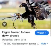 Screenshot_20250928_080817_Chrome.jpg