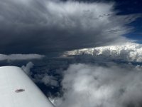 IMG_8994.jpeg