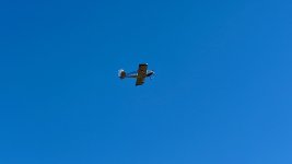 IMG_7256.jpeg