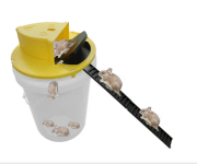 mouse house.PNG