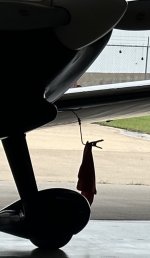 IMG_9237.jpeg