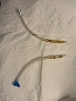 IMG_4771.jpeg
