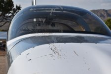 bird strike - 1.jpeg