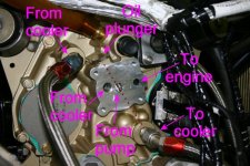 Processed_Img_4660.jpeg