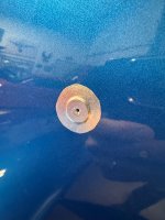 IMG_4946.jpeg