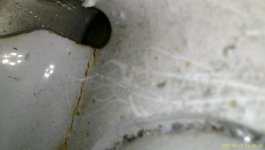 IMG_2118.jpeg