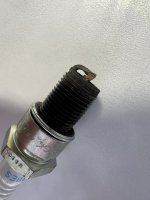 IMG_1126.jpeg