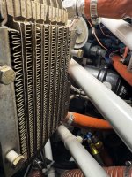 IMG_1176.jpeg