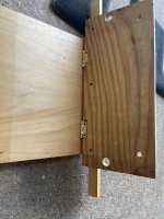 IMG_2225.jpeg