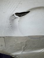 IMG_2972.jpeg