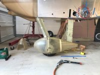 IMG_4321.jpeg