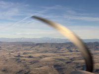 IMG_2253.jpeg