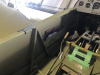 IMG_0377.jpeg