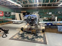 IMG_3795.jpeg