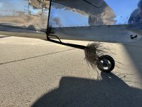 IMG_2178.jpeg