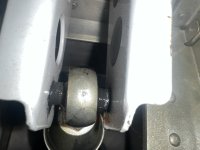 IMG_8164.jpeg