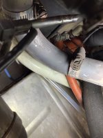 IMG_3285.jpeg