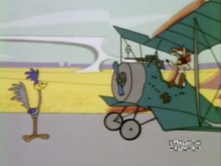 roadrunner.png
