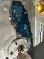 IMG_0006.jpeg