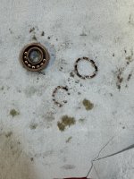 IMG_9279.jpeg