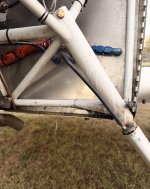 IMG_6604.jpeg