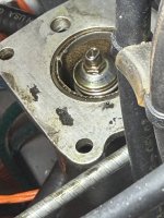 IMG_3007.jpeg