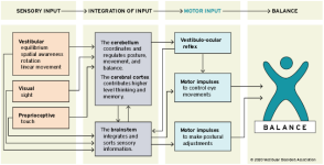 sensory-input-chart2.png