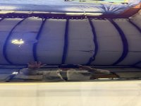 IMG_3496.jpeg