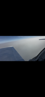 IMG_3157.png