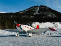 IMG_1226.jpg