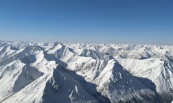 IMG_1317.jpg