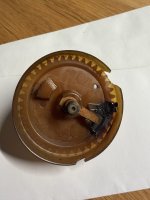 IMG_6946.jpeg