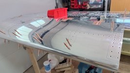 IMG_7331.jpeg
