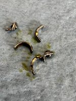 pic102.jpg